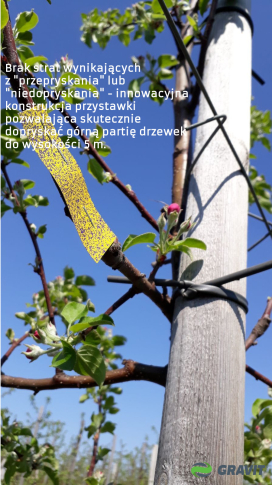 Gravit - 