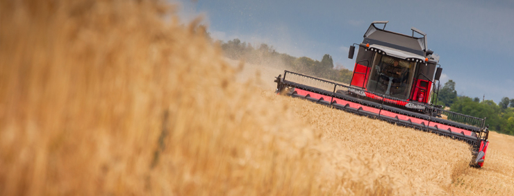 Gravit - 